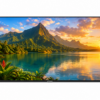 Vitron TV HTC3288QS 32 Inch QLED Android